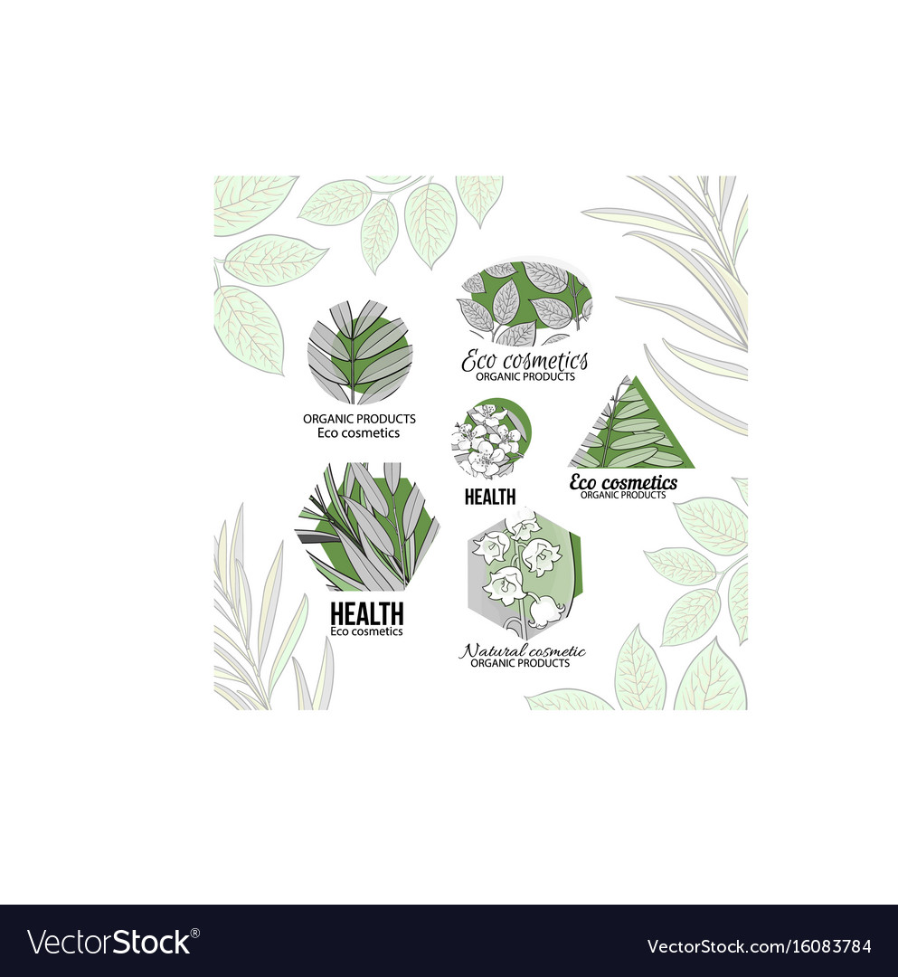 Eco cosmetics logo set with leaves and flowers