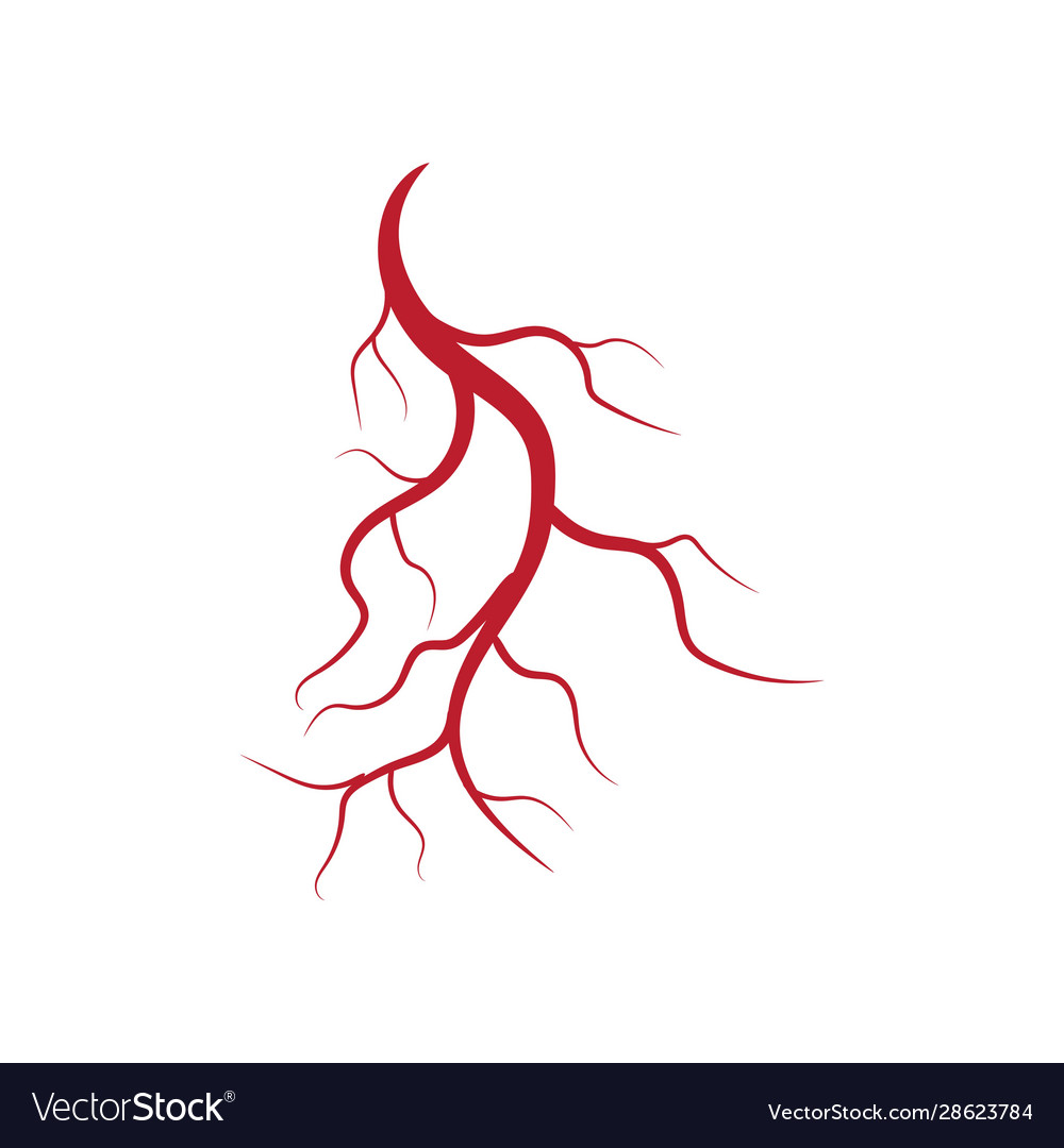 Human veins and arteries Royalty Free Vector Image