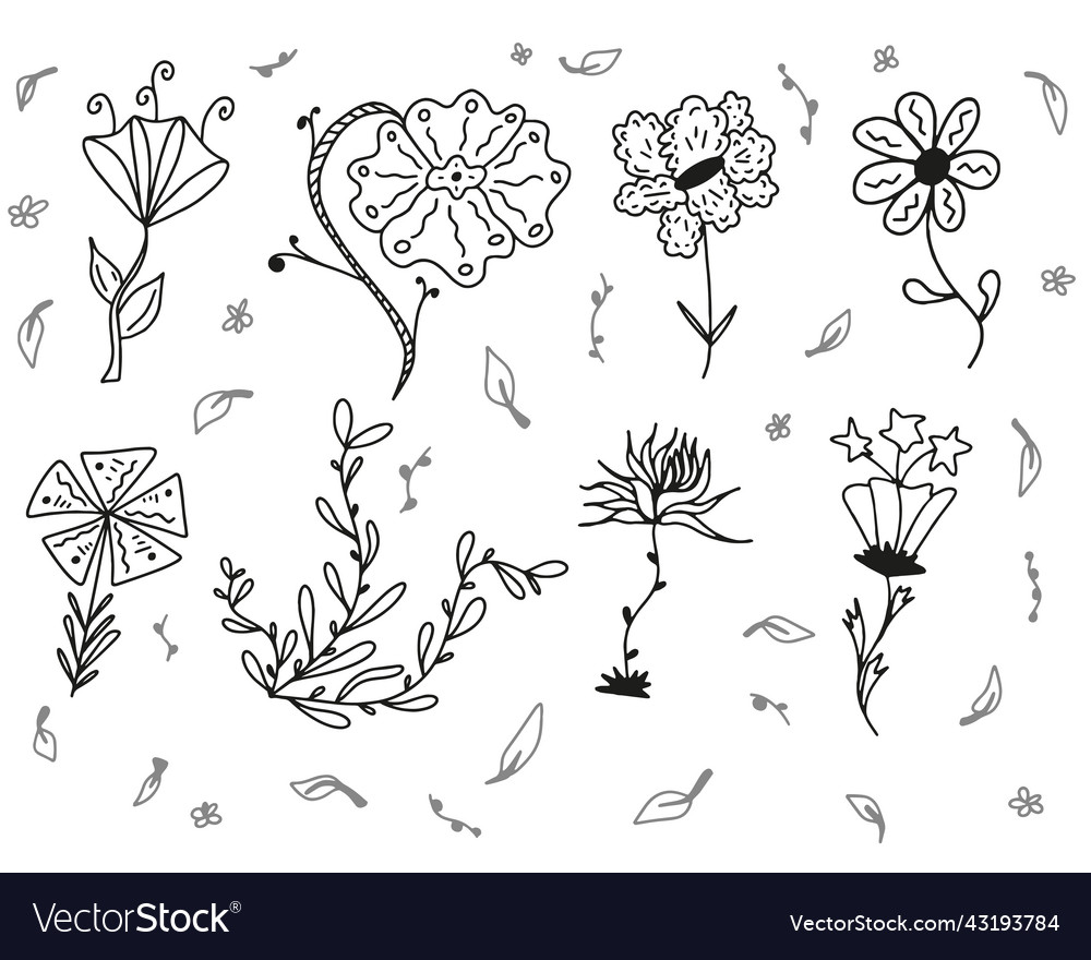 Set Collection Doodle Hand Drawn Flower Royalty Free Vector