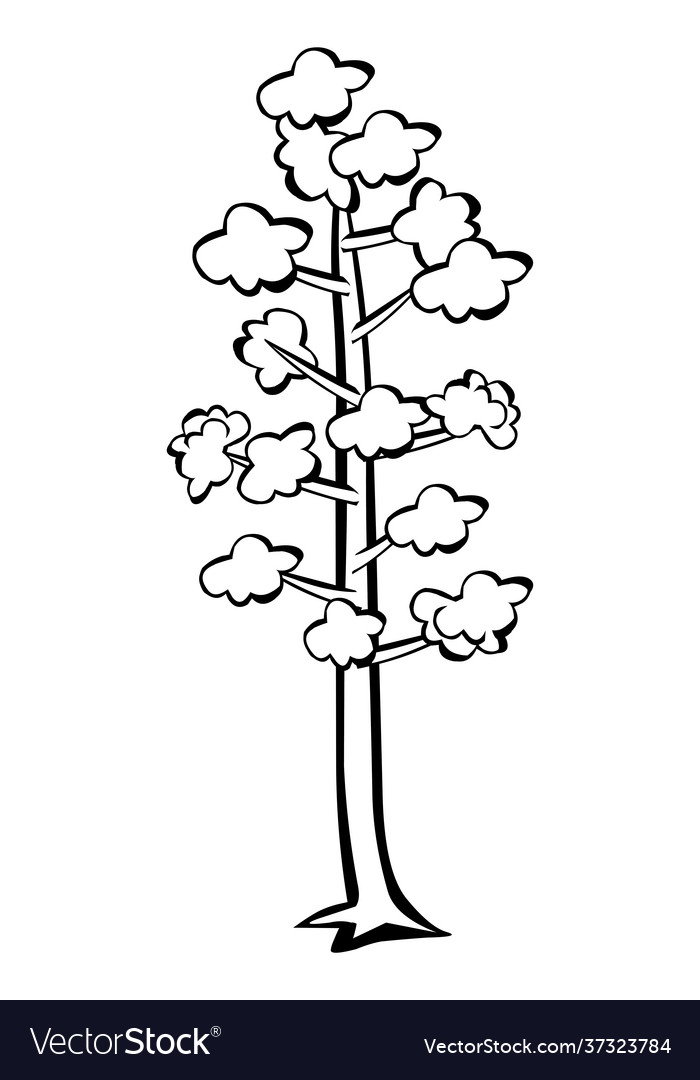 Tree line drawing Royalty Free Vector Image - VectorStock
