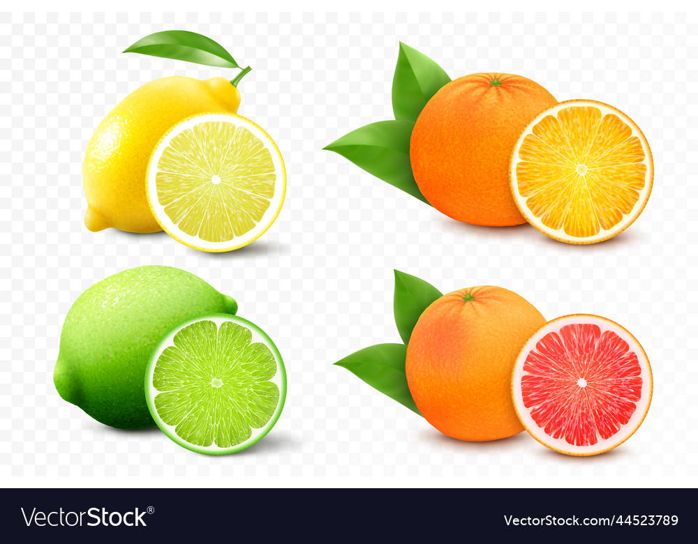 Set of citrus lemon mandarin lime orange