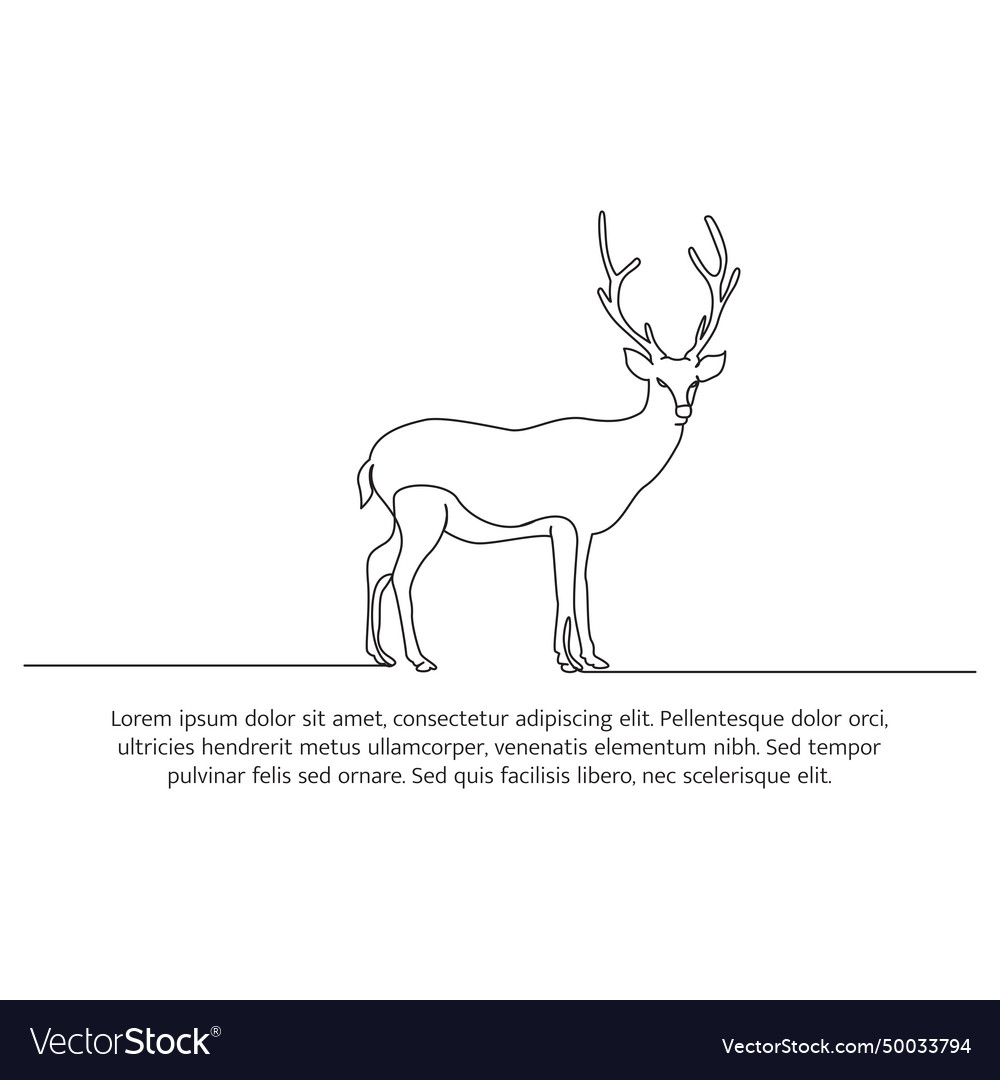 Deer line design wildlife decorative elements