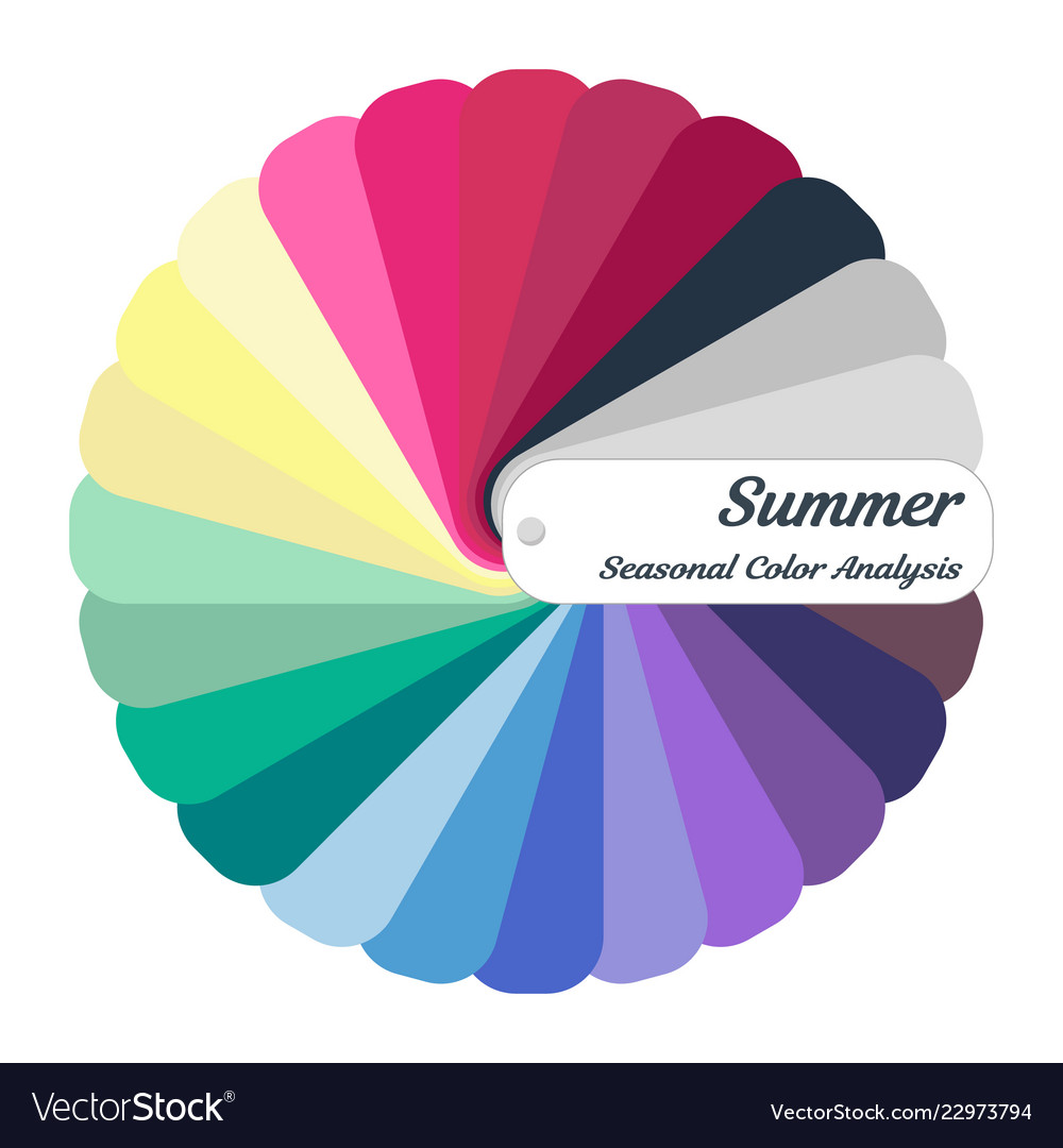 Stock color guide seasonal color analysis Vector Image