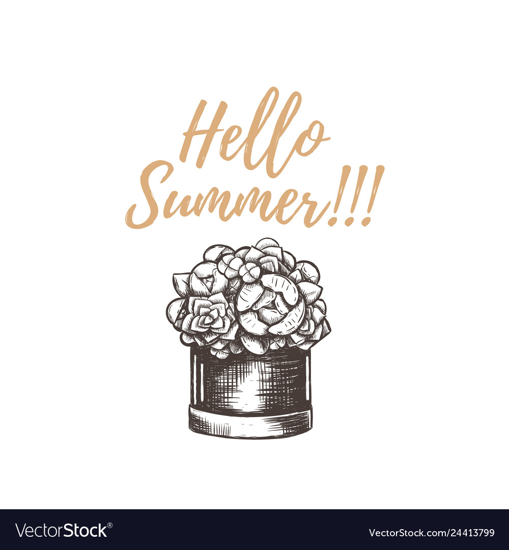 Hello summer hand drawing Royalty Free Vector Image