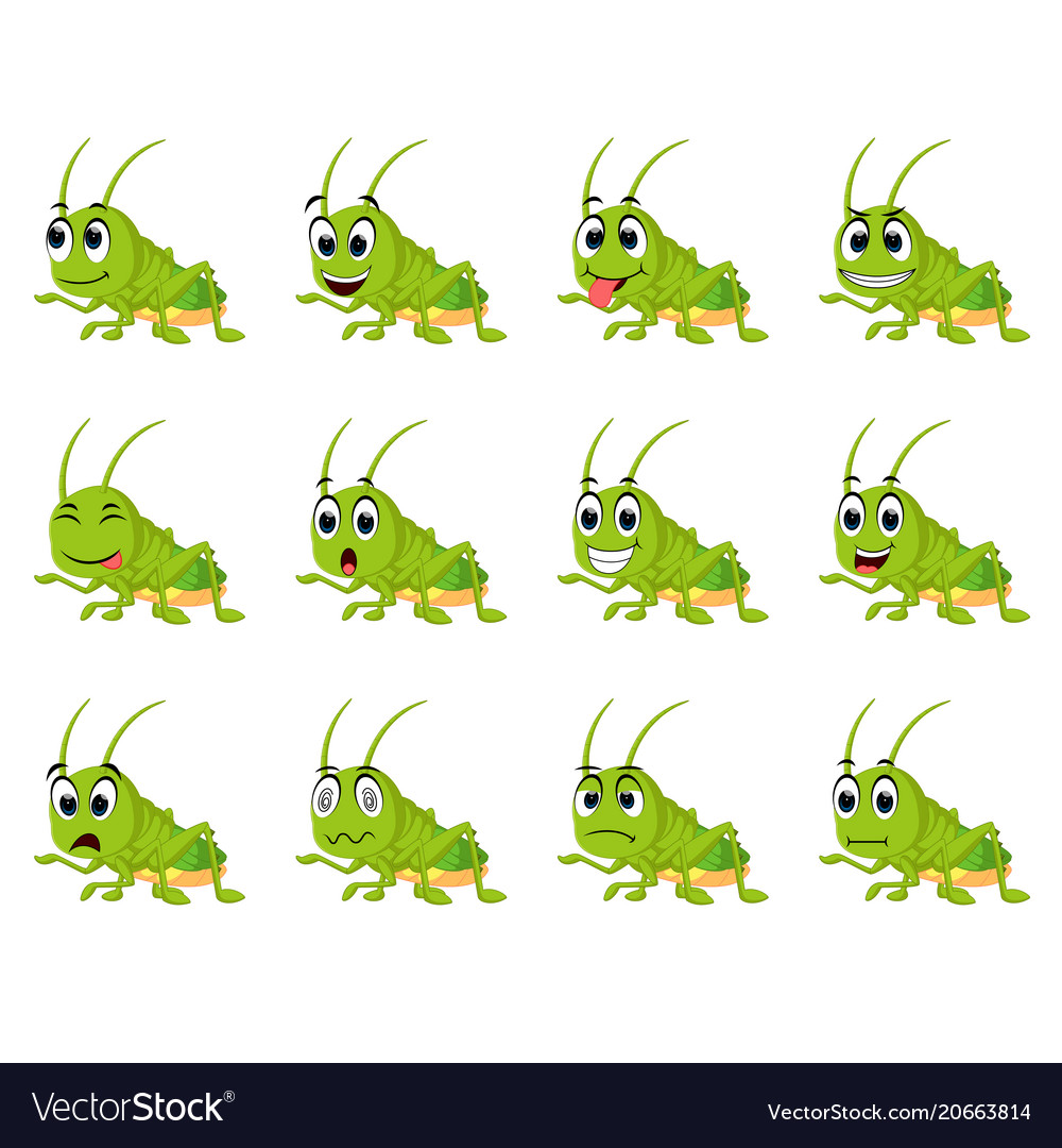 Grasshopper with different facial expressions