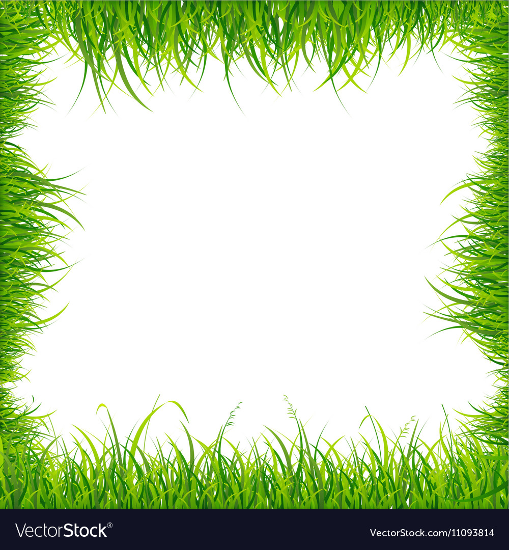 Realistic square green grass frame Royalty Free Vector Image