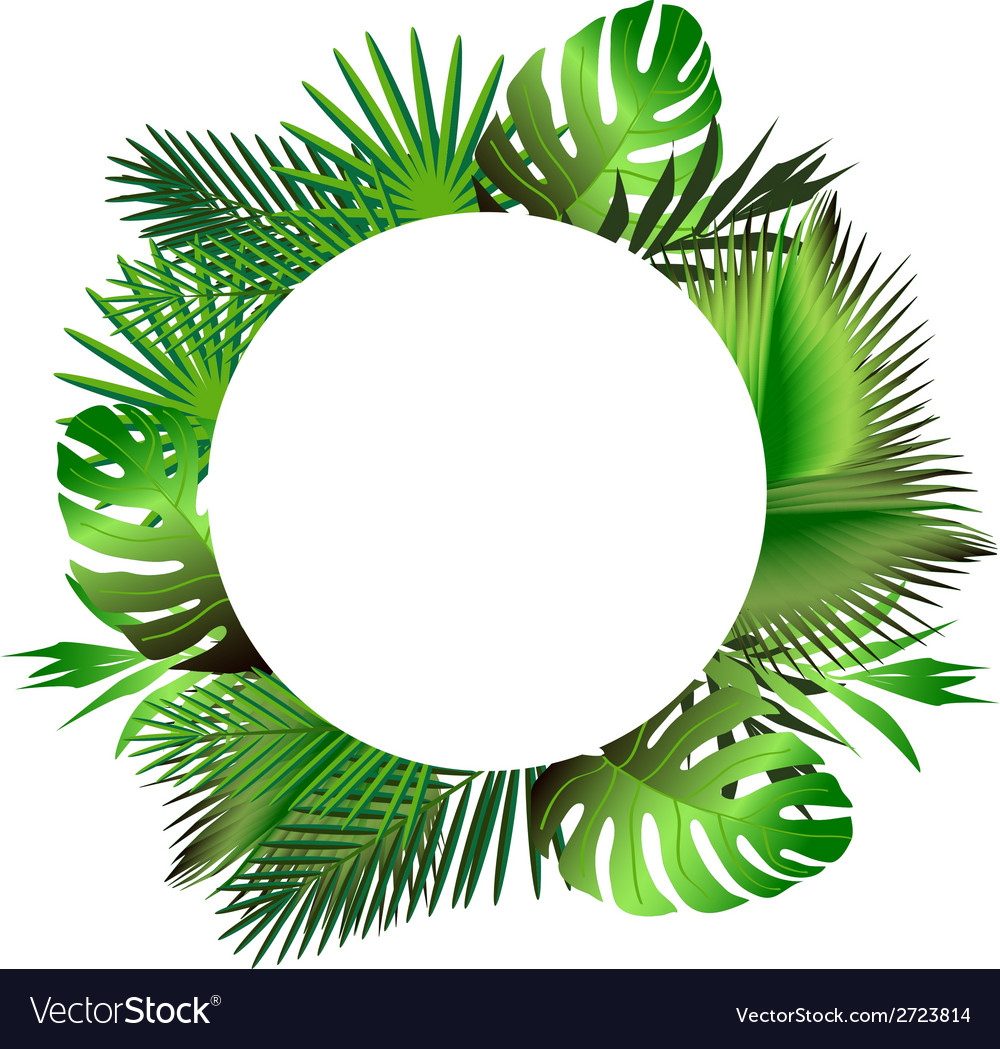 Tropical green leaves