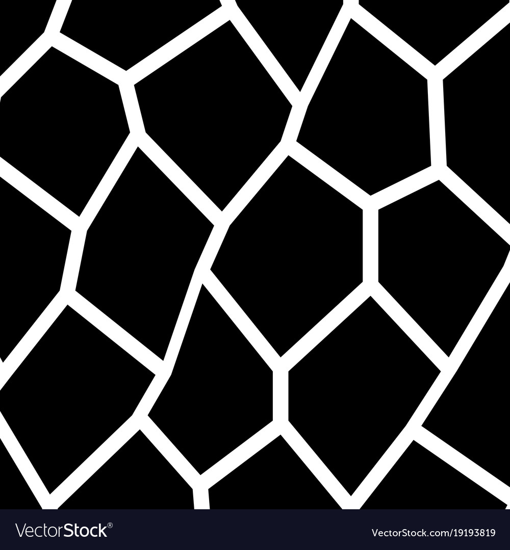 black and white irregular mosaic template vector image