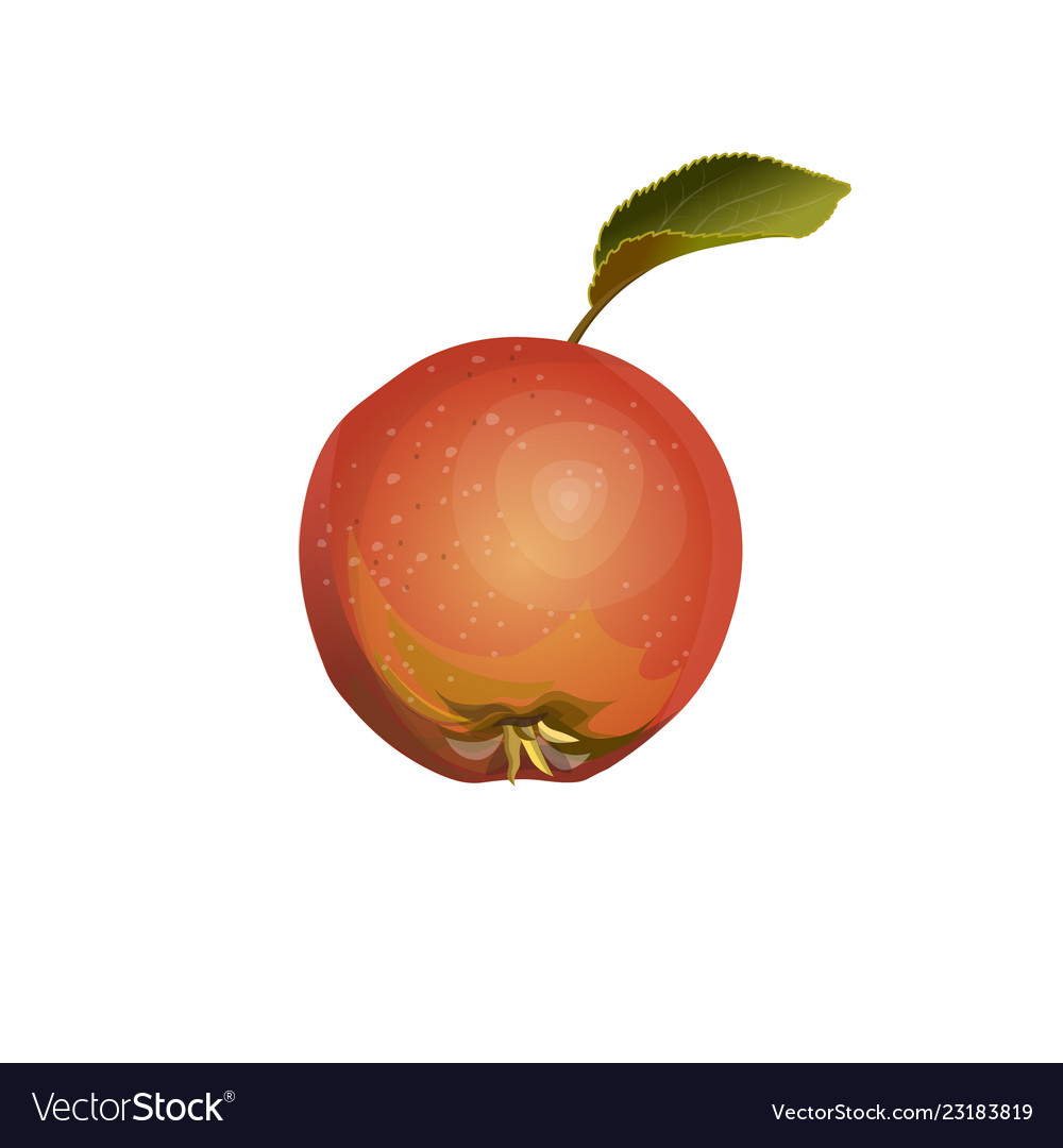 Red Apple Fruit Royalty Free Vector Image - Vectorstock