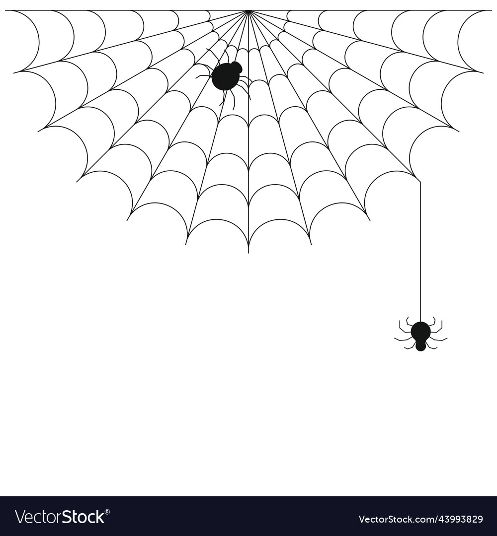 Cobweb vs. Spiderweb