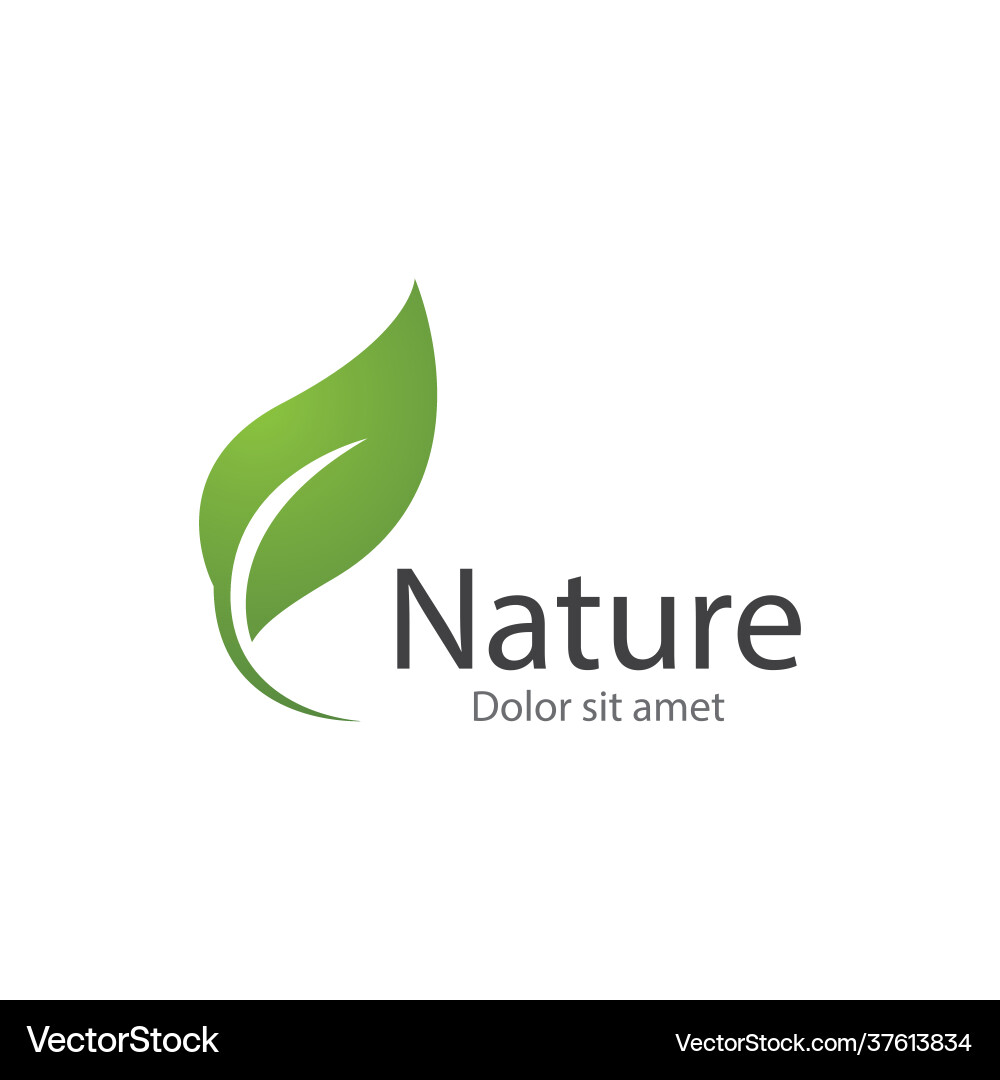 Green leaf Royalty Free Vector Image - VectorStock
