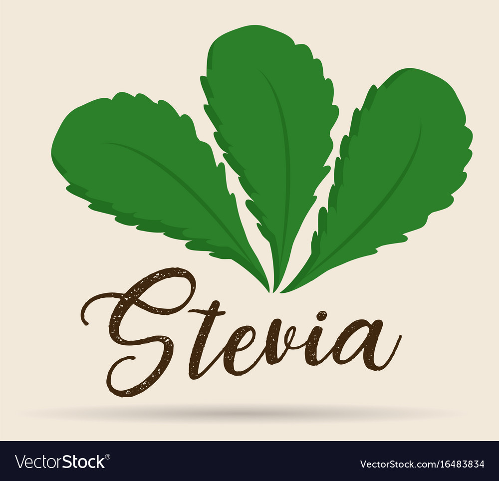 Stevia concept design