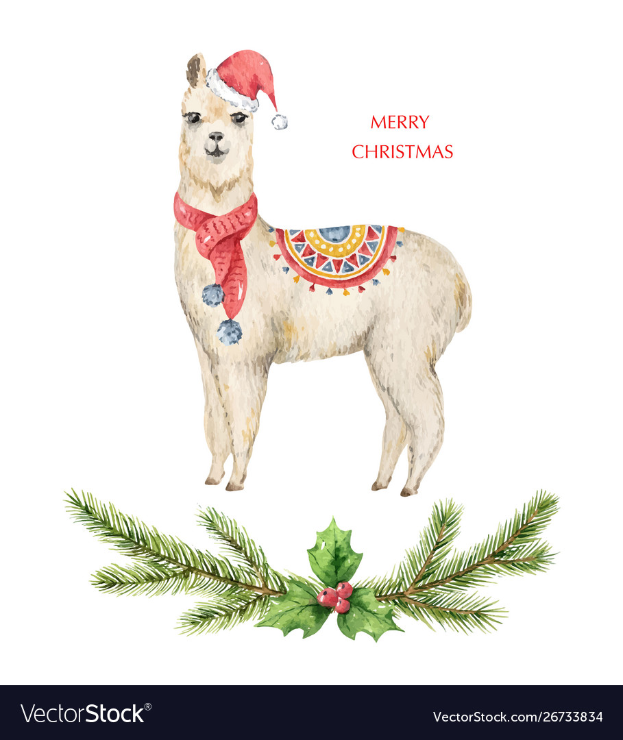 Download Watercolor christmas card llama or alpaca Vector Image