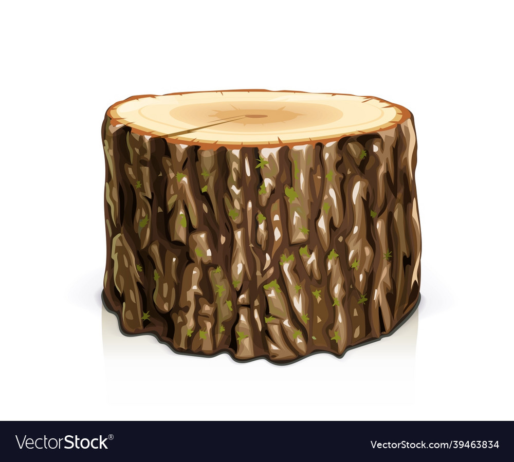 Wooden stump cut slice tree Royalty Free Vector Image