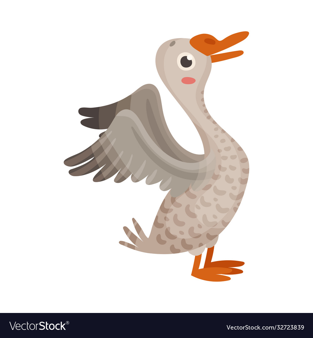 Feathered goose as farm bird walking in yard Vector Image