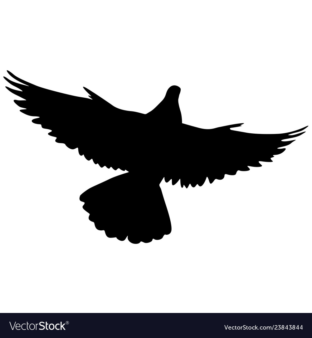 Concept of love or peace silhouettes doves Vector Image