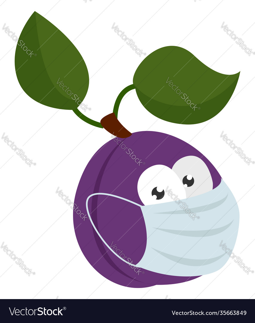 Protected plum on white background