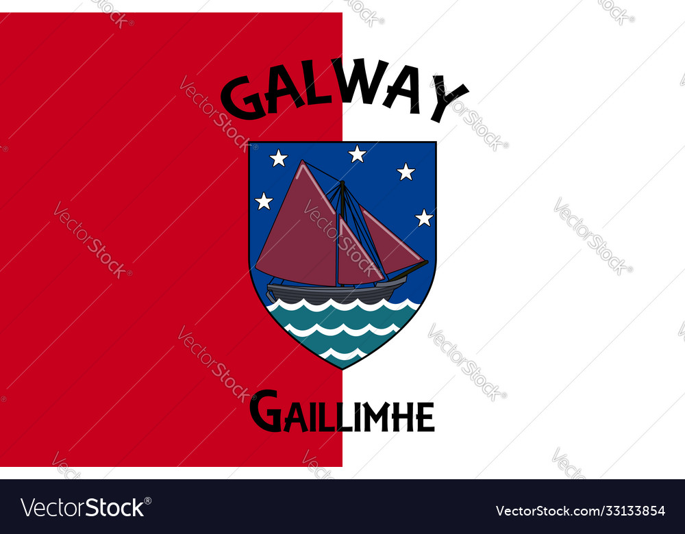Flag county galway in ireland Royalty Free Vector Image