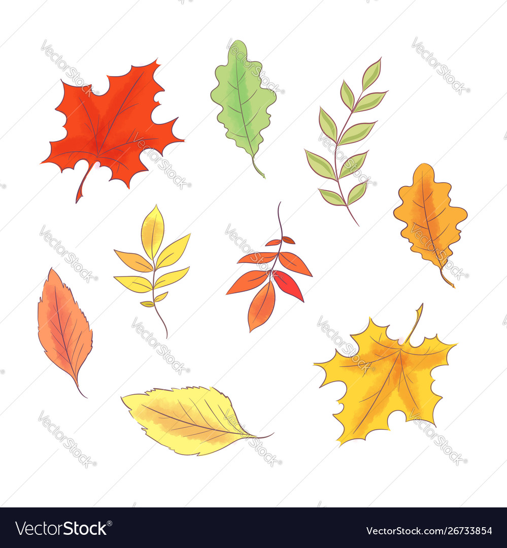 Set in style hand drawing autumn and leaves vector image Set in style hand drawing autumn and leaves