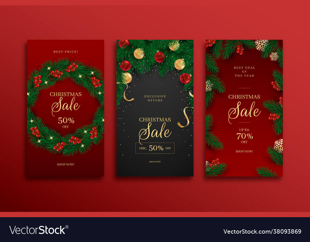 Christmas sale instagram stories Royalty Free Vector Image