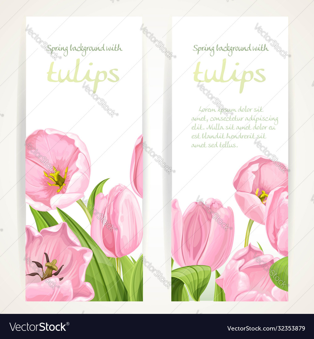 Pink and white tulips on two vertical blank