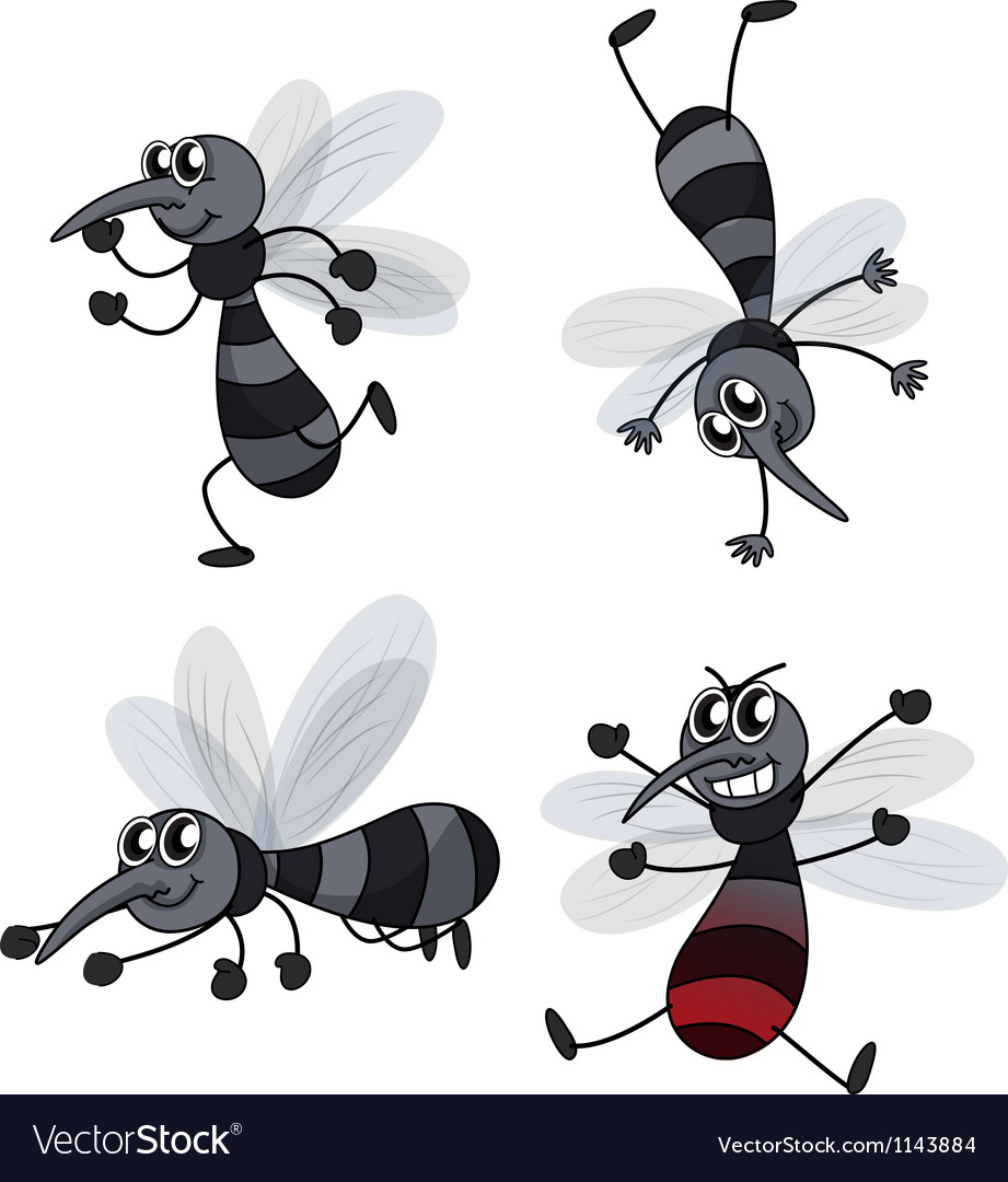 Four Mosquitoes Royalty Free Vector Image Vectorstock 5434