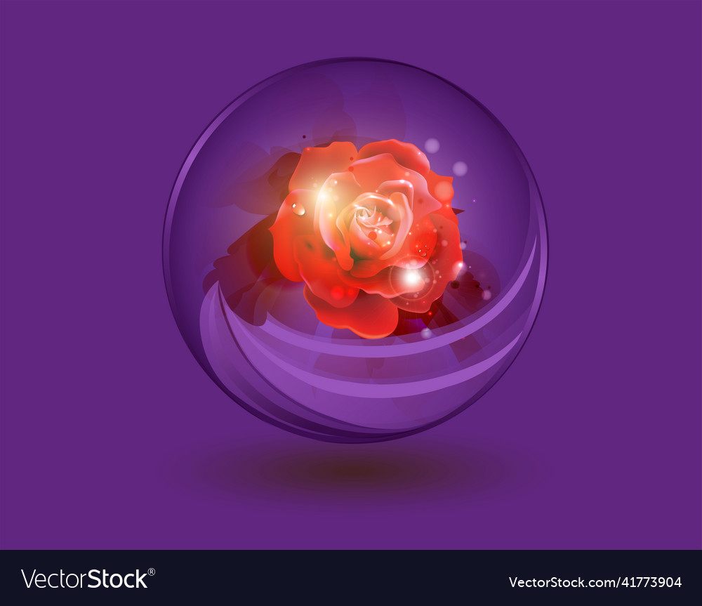 Red rose flower inside purple orb sphere