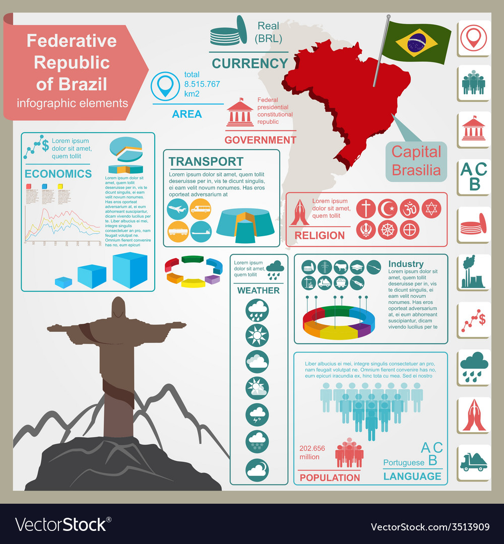 Brazil Infographics Statistical Data Sights Vector Image