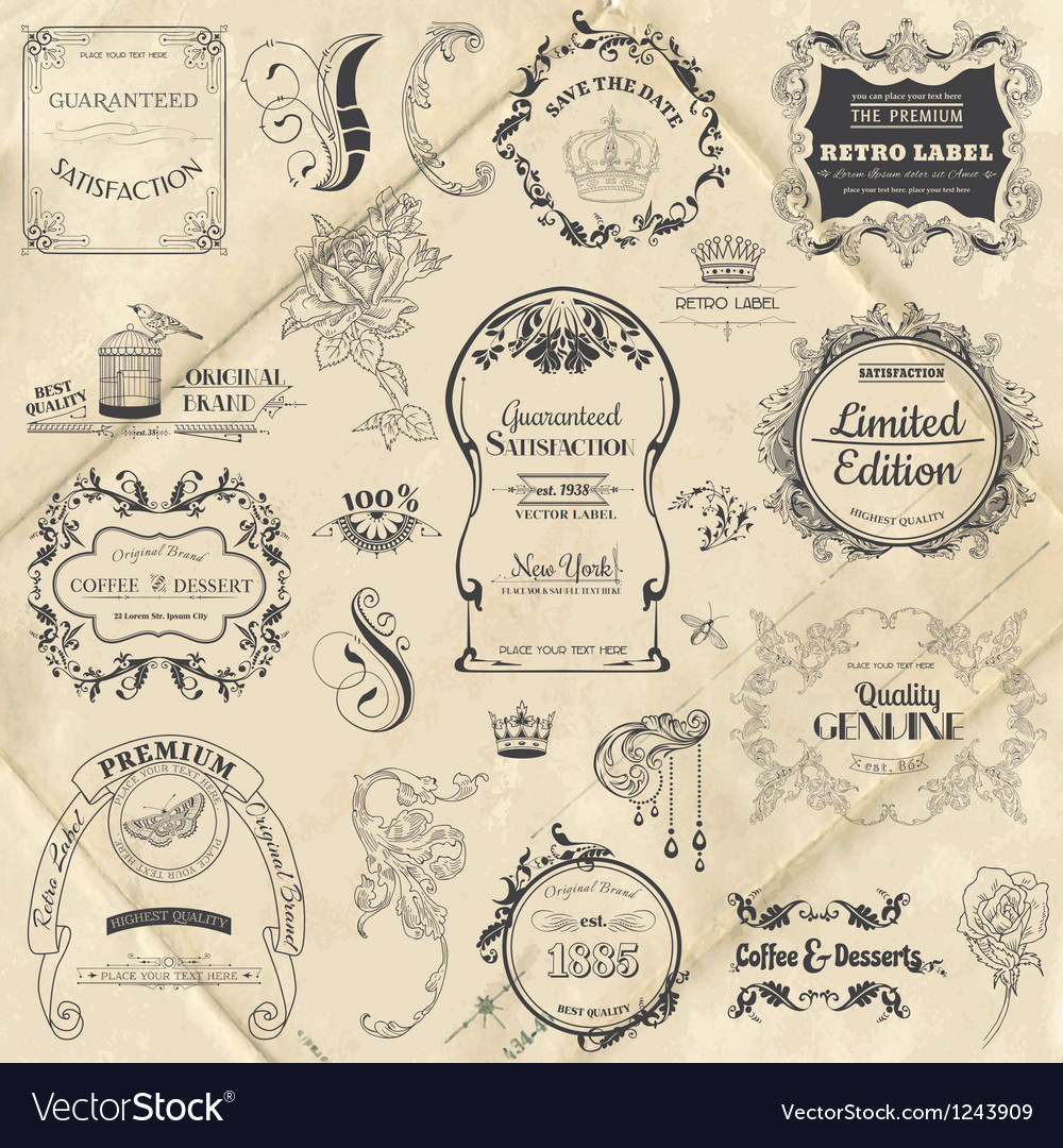 Vintage frame collection with flowers