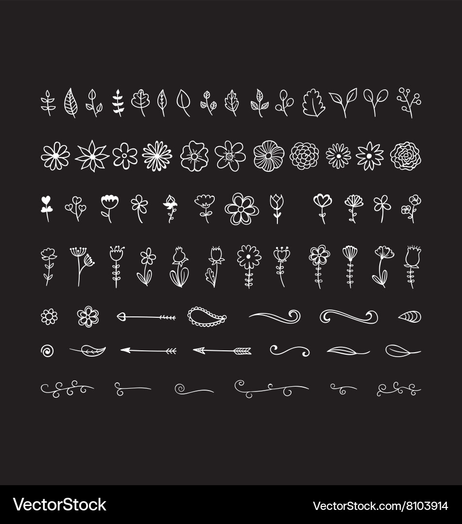 Floral decorations Royalty Free Vector Image - VectorStock