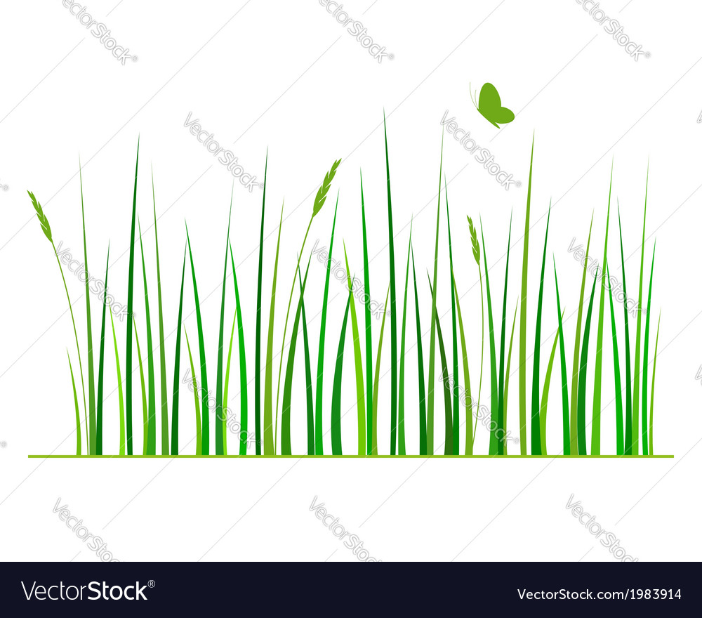 Green grass Royalty Free Vector Image - VectorStock