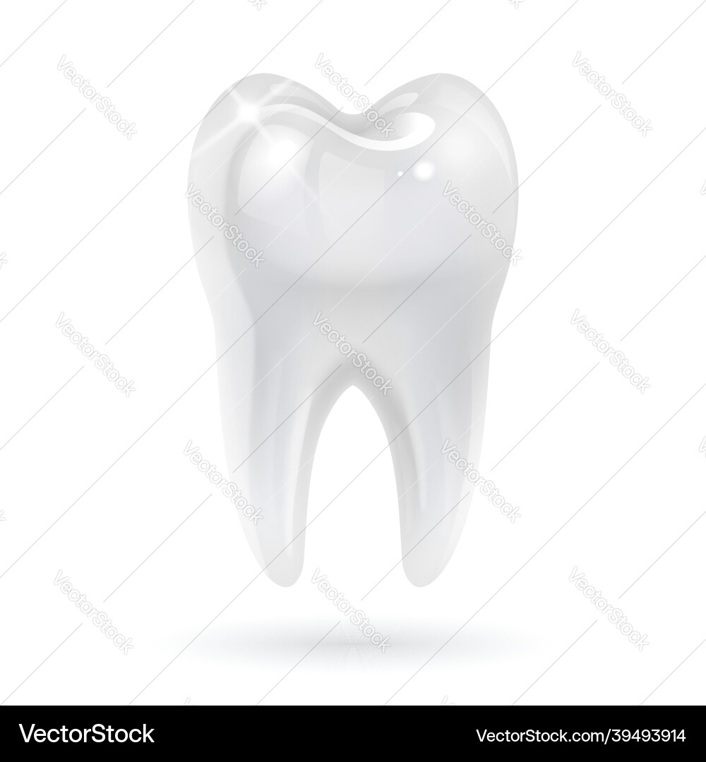 White tooth on background Royalty Free Vector Image