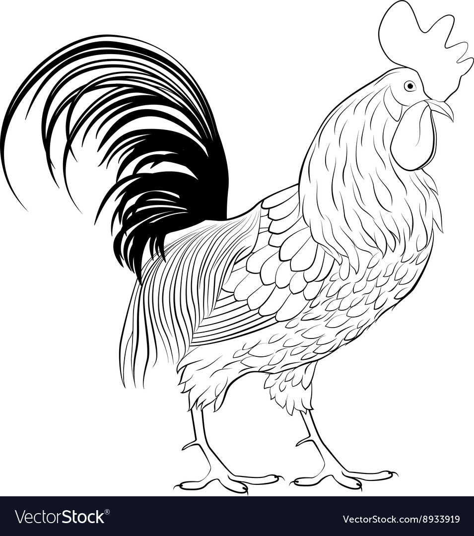 Cartoon rooster cute farm animal