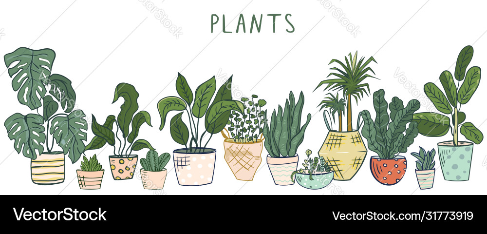Set different house plants Royalty Free Vector Image