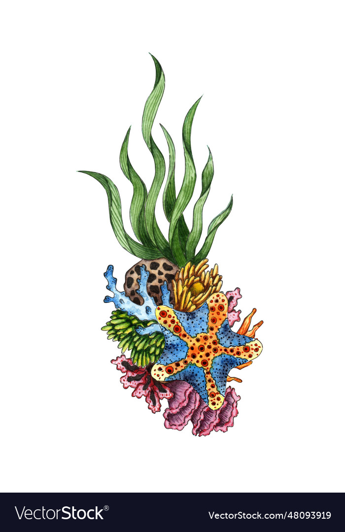 Watercolor blue starfish algae and corals