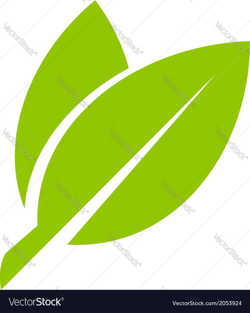 Leaf icon