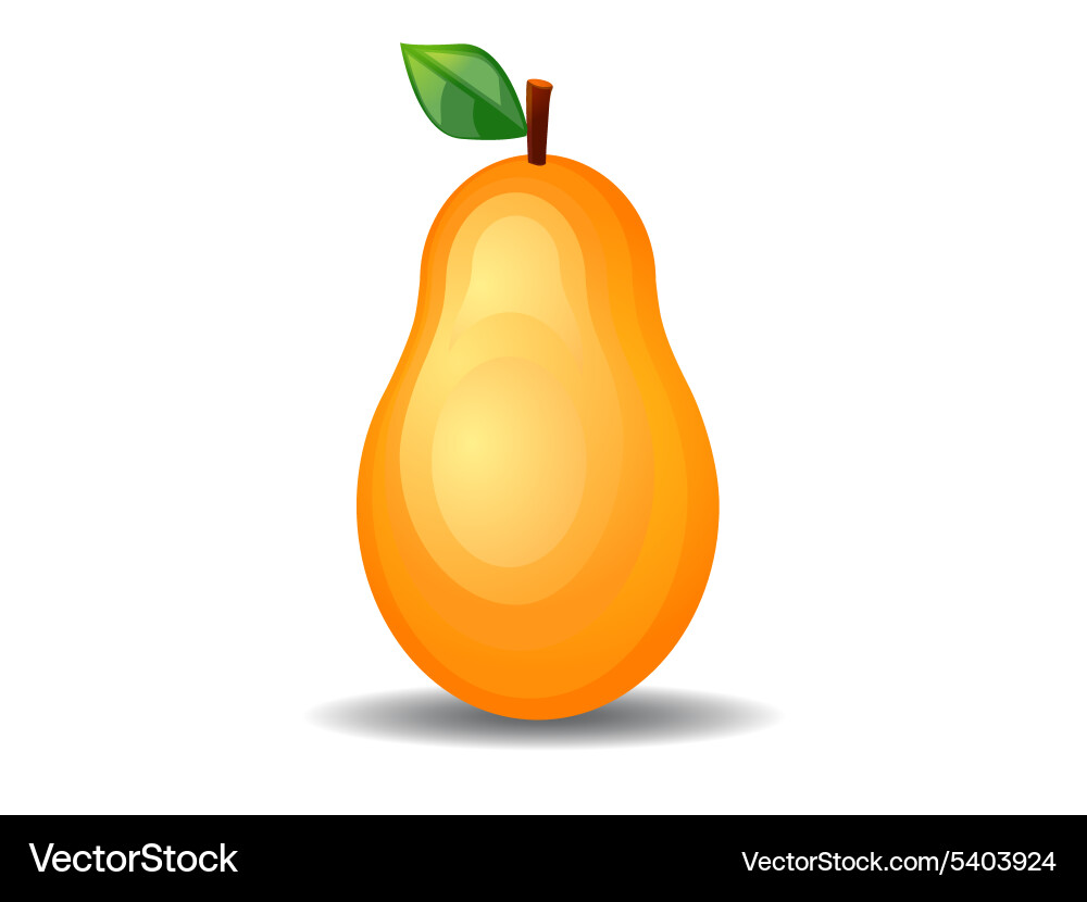Orange icon Royalty Free Vector Image - VectorStock