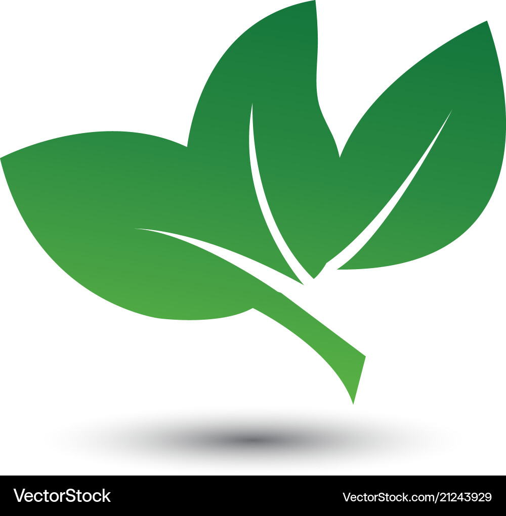 Abstract leaf logo icon template Royalty Free Vector Image