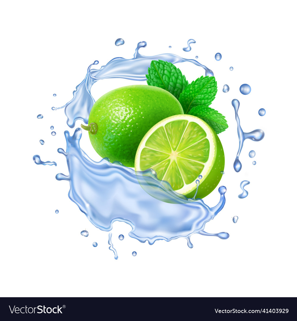 Realistic transparent splash mojito mint leaves Vector Image