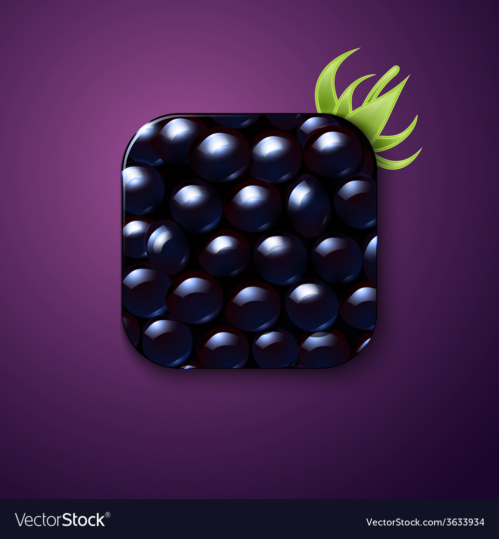 Blackberry texture icon stylized like mobile app