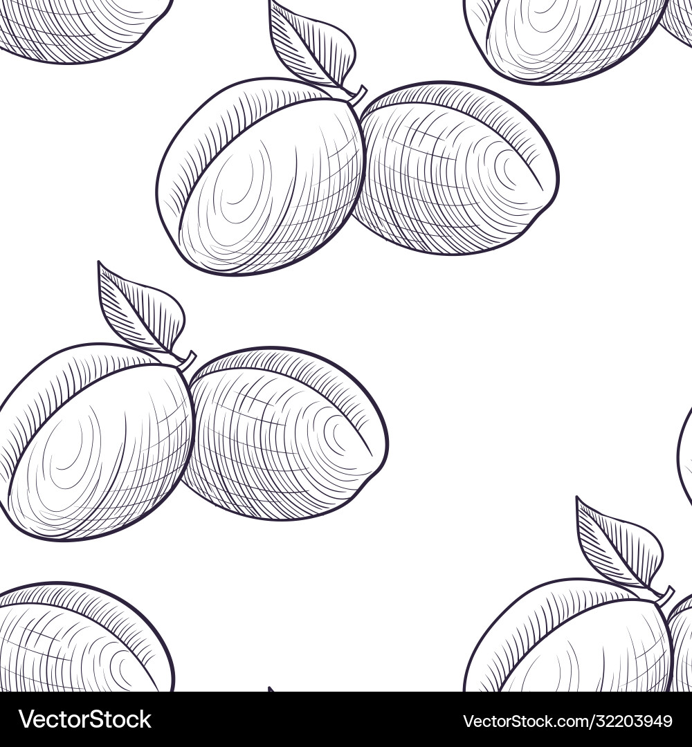 Drawing seamless pattern with apricots Royalty Free Vector