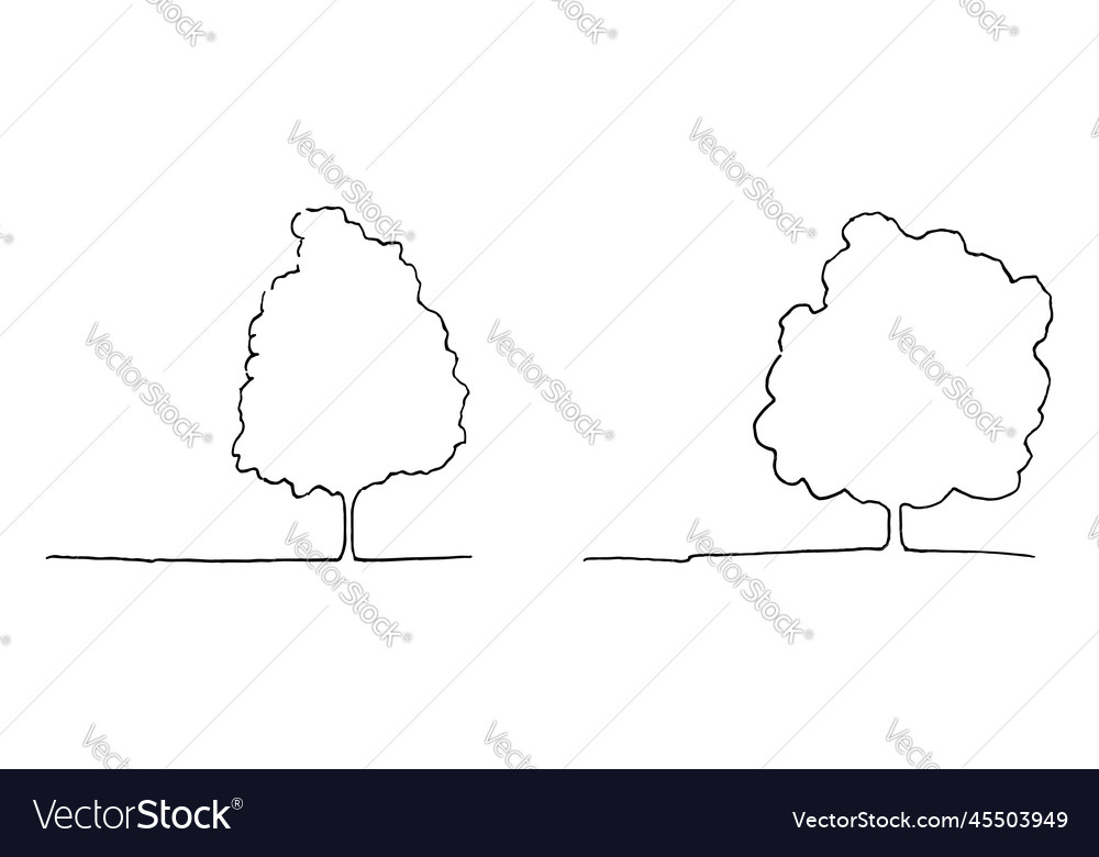 Monochrome trees silhouette contour line art Vector Image