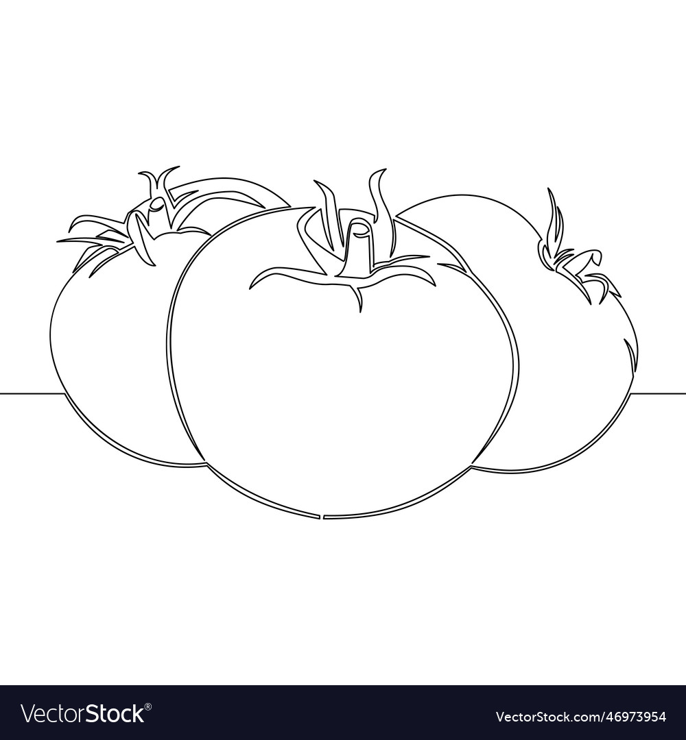 Continuous line drawing tomatoes food vegetable