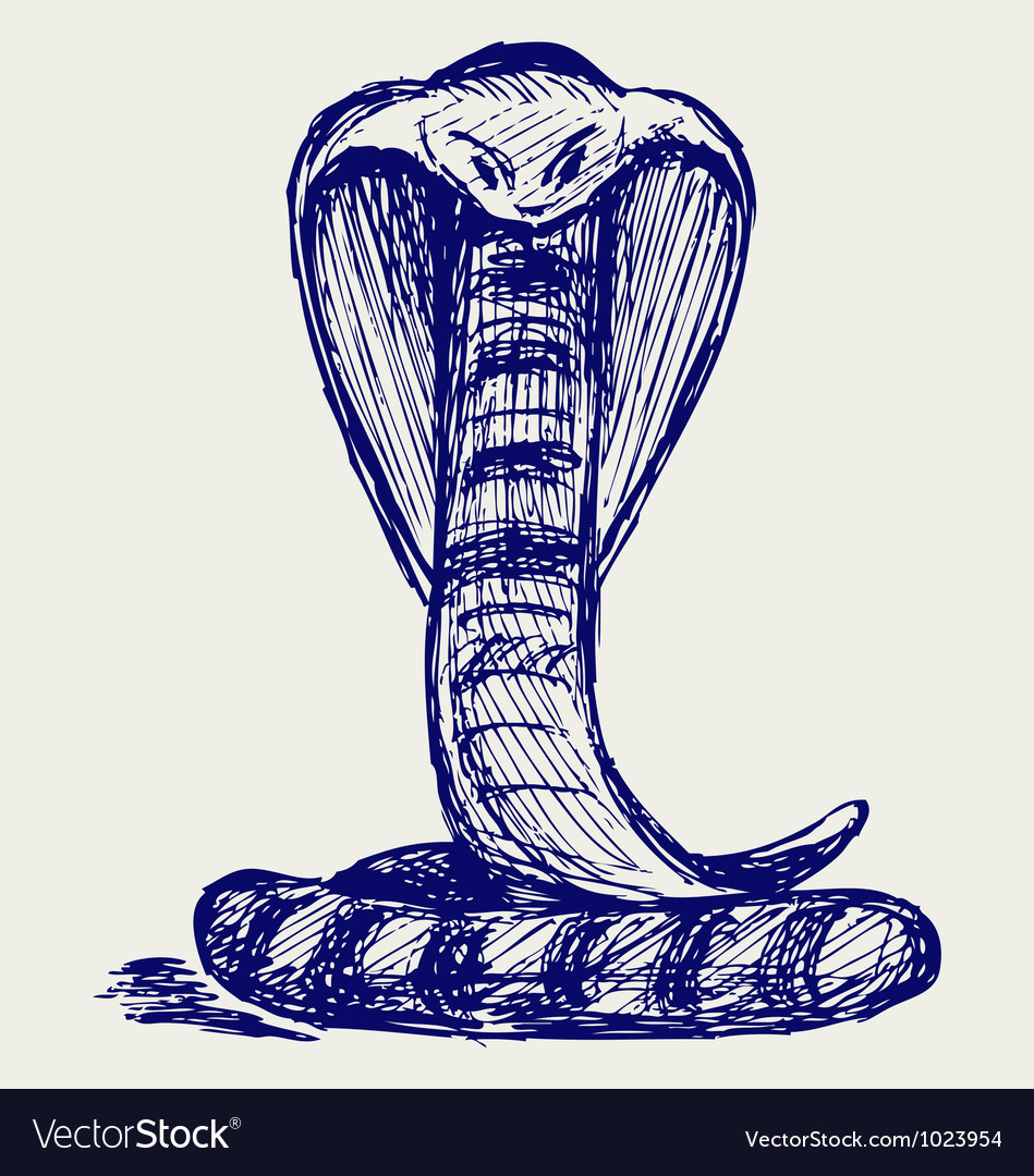 Cobra snake animal sketch Royalty Free Vector Image