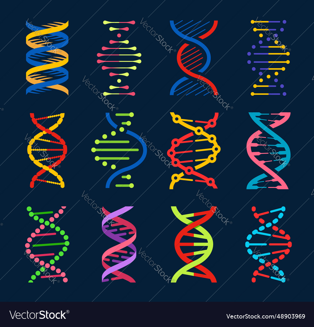 Dna helices and gene molecules genetics science Vector Image