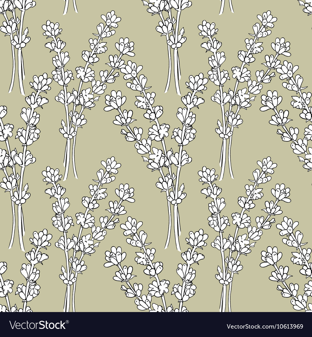 Lavender a seamless pattern for print