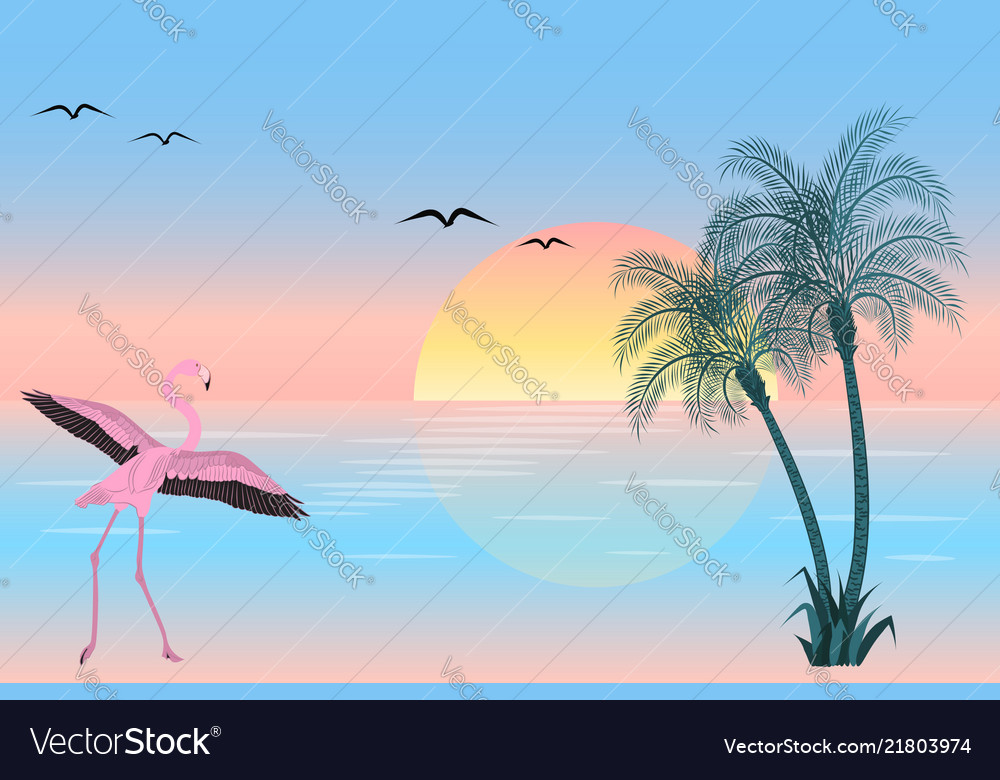 At sunset flamingo on lake scene