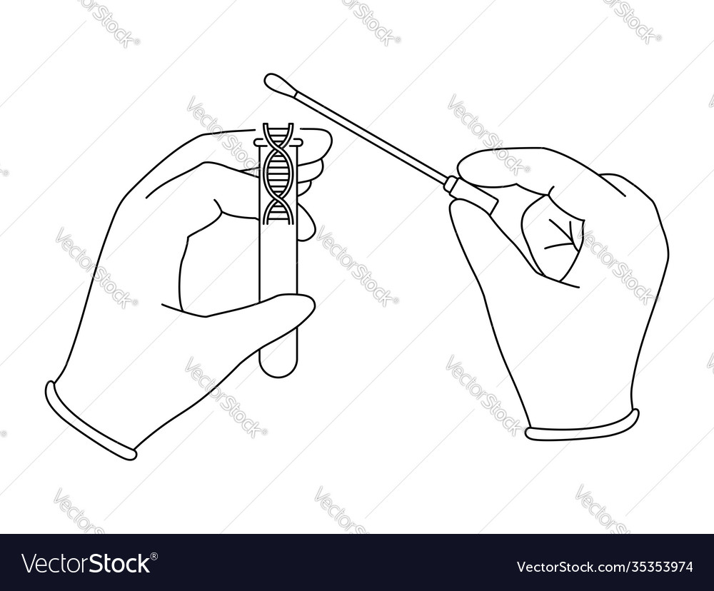 Dna samples for pcr testing or gene research