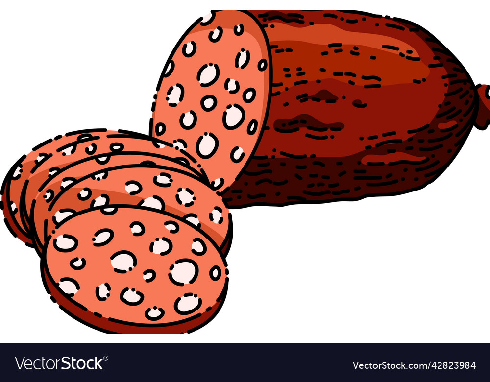 Salami sausage sketch hand drawn