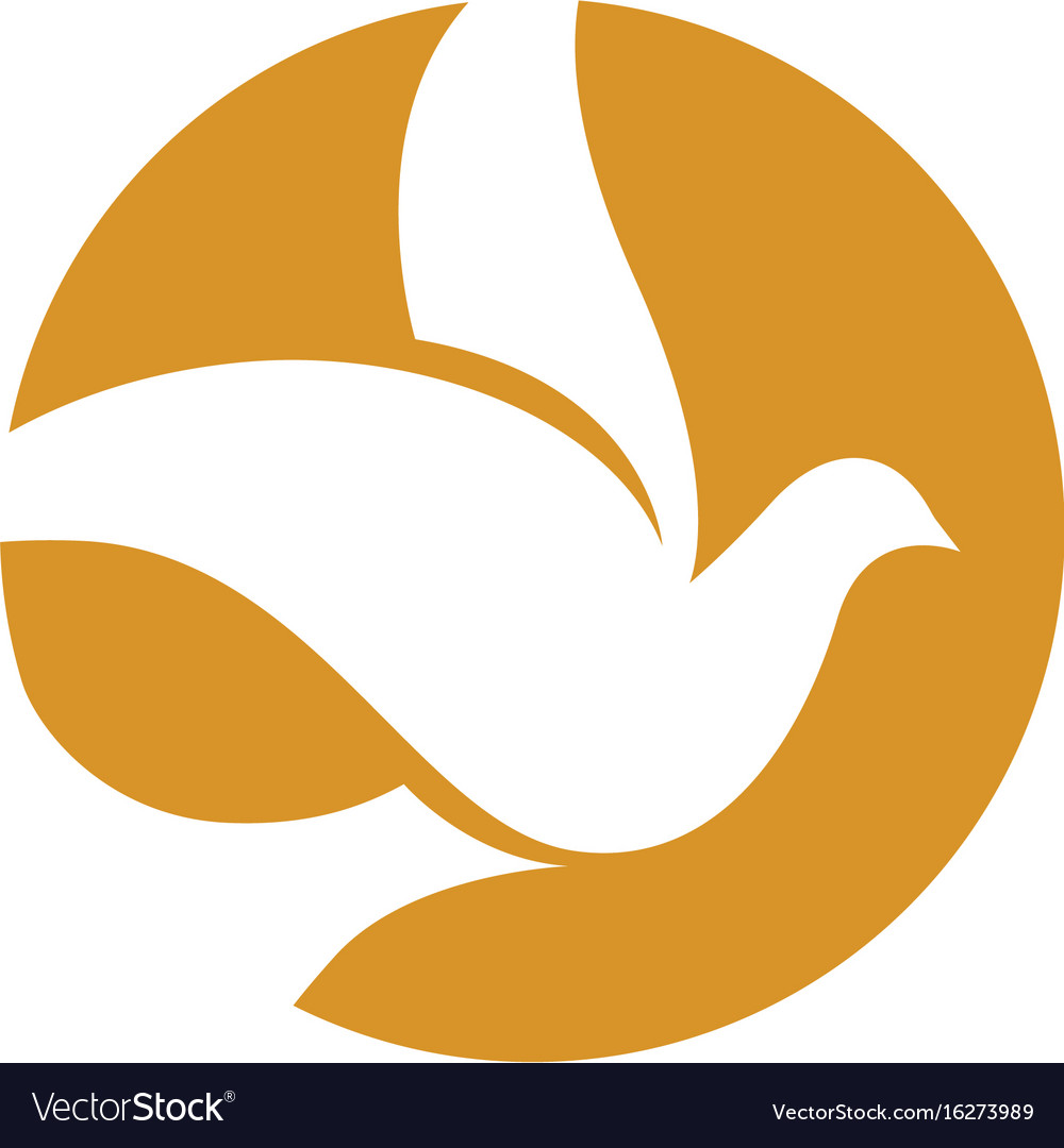 bird wing dove logo template royalty free vector image